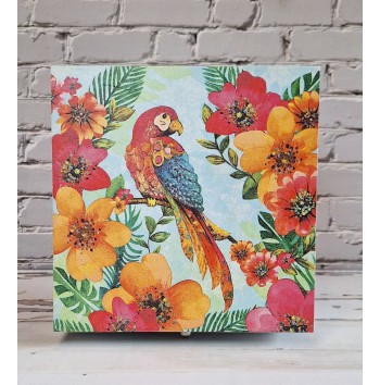 Caja Jungle Parrot