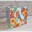 Caja Jungle Parrot