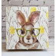 Caja Rabbit