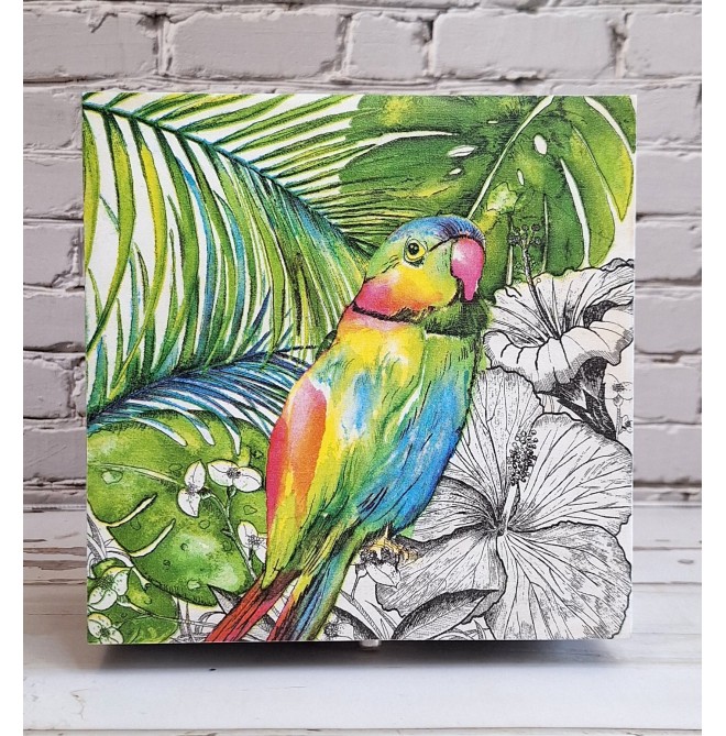 Caja Parrot with Pink Beak