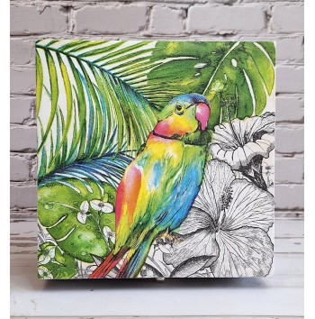 Caja Parrot with Pink Beak