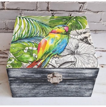Caja Parrot with Pink Beak