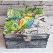 Caja Parrot with Pink Beak