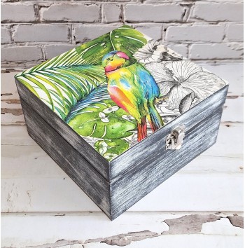Caja Parrot with Pink Beak