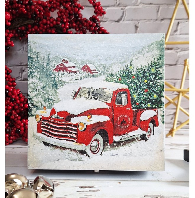 Caja camioneta nevada