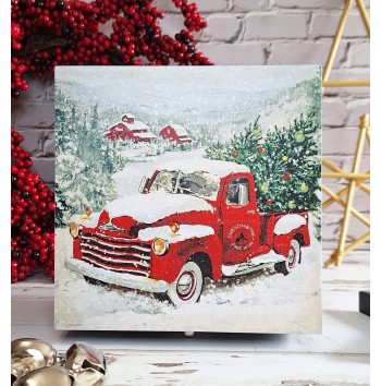 Caja camioneta nevada