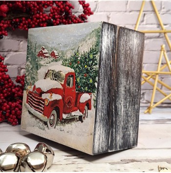 Caja camioneta nevada