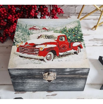 Caja camioneta nevada